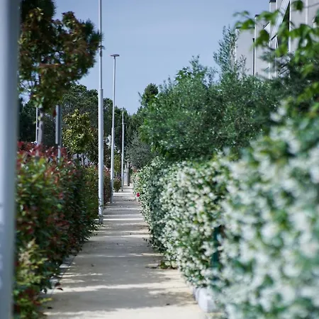 Roga Valamar Apartment Hamallaj