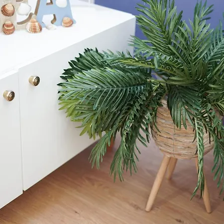 Roga Valamar * Hamallaj