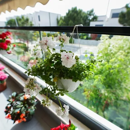 Apartman Roga Valamar Hamallaj